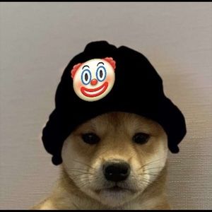 Meet your Posher, Ben